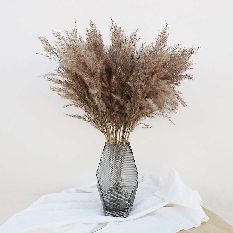 Florist Supply Vases - 10 Pezzi di Erba della Pampa