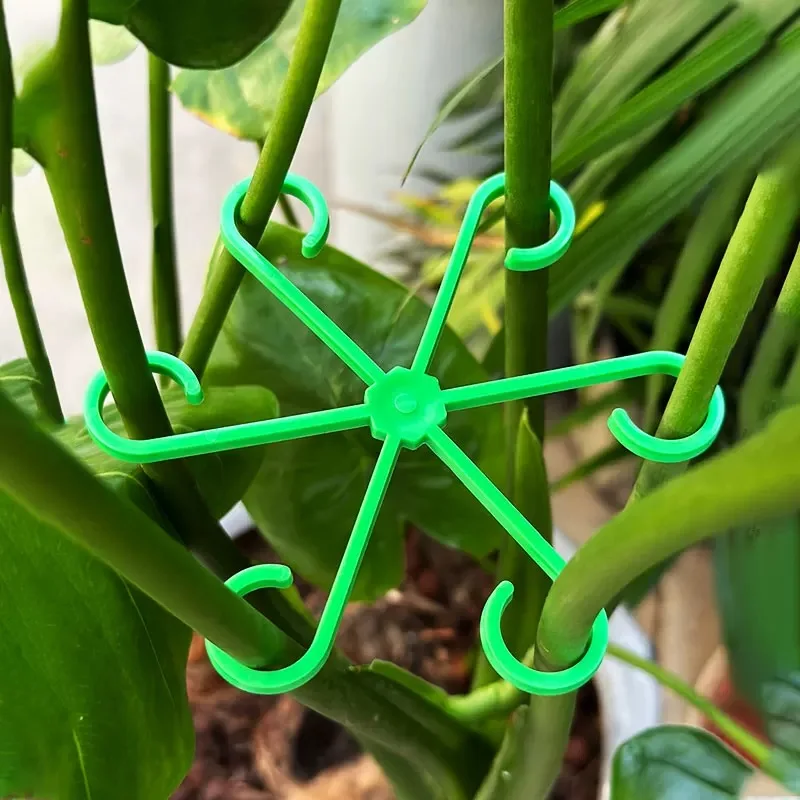 Picchetti di supporto per stel - Florist Supply Bulk recensione e prezzo