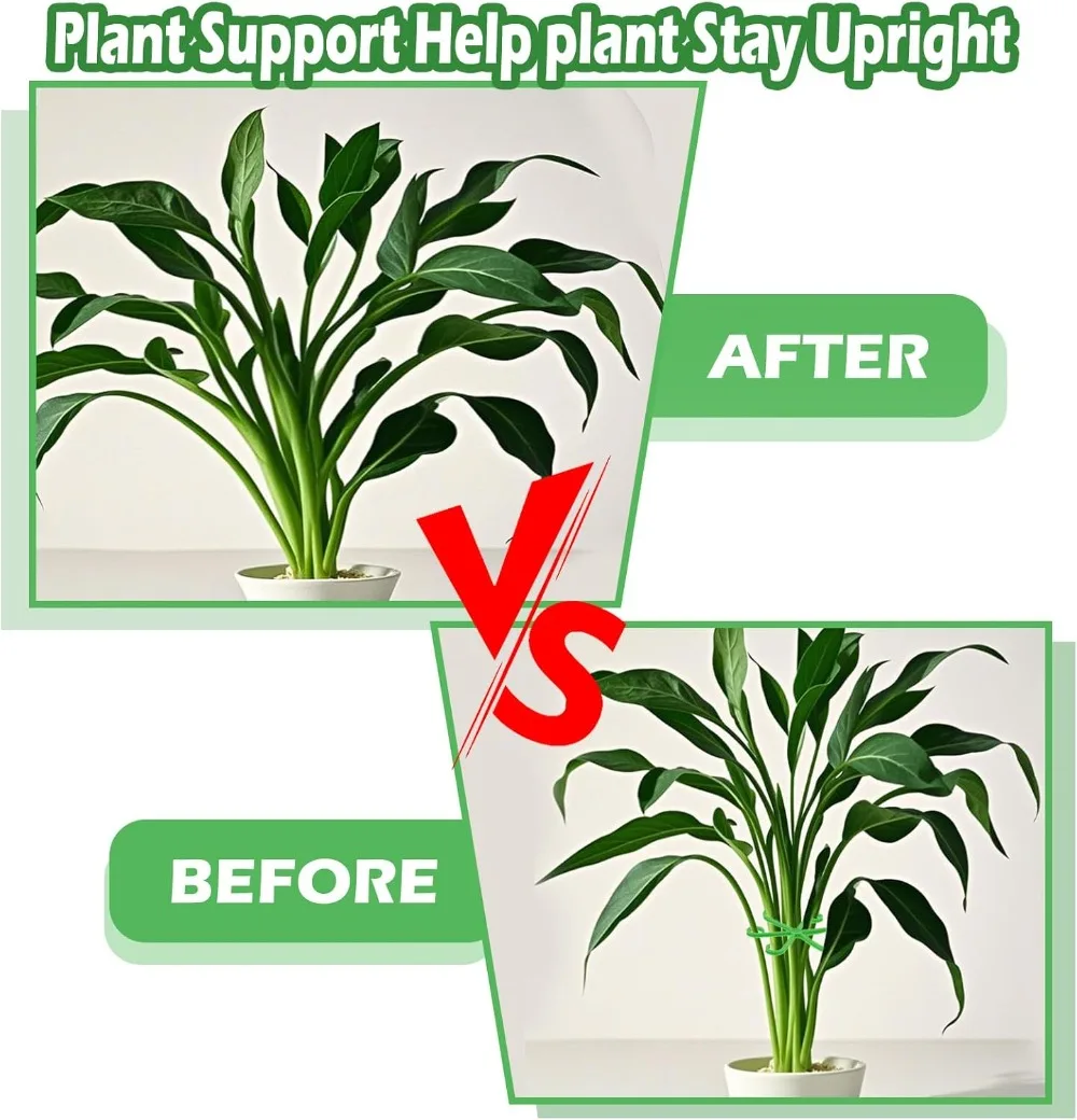 Picchetti di supporto per stel - Florist Supply Bulk recensione e prezzo