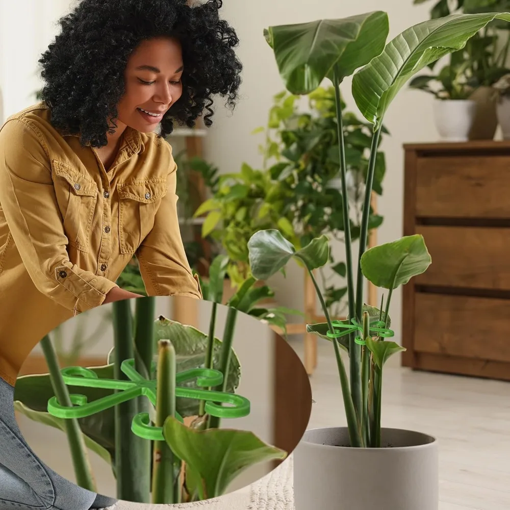 Picchetti di supporto per stel - Florist Supply Bulk recensione e prezzo