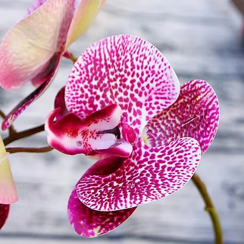 Fiori artificiali 3D Farfalla  - Florist Supply Vases recensione e prezzo