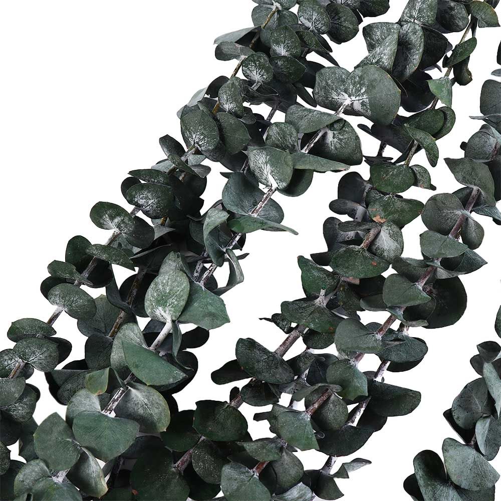 10 Pezzi di Foglie di Eucalipt - Eucalyptus Preserved recensione e prezzo