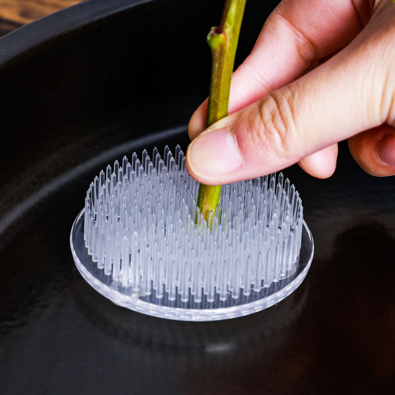 Supporto Rotondo per Ikebana c - Florist Supply Bulk recensione e prezzo