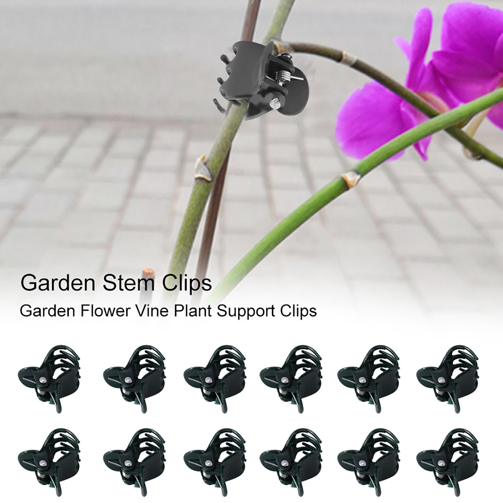 100 pezzi mini clip per piante - Florist Supply Bulk recensione e prezzo