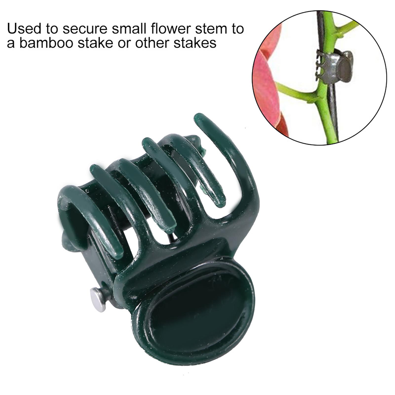 100 pezzi mini clip per piante - Florist Supply Bulk recensione e prezzo