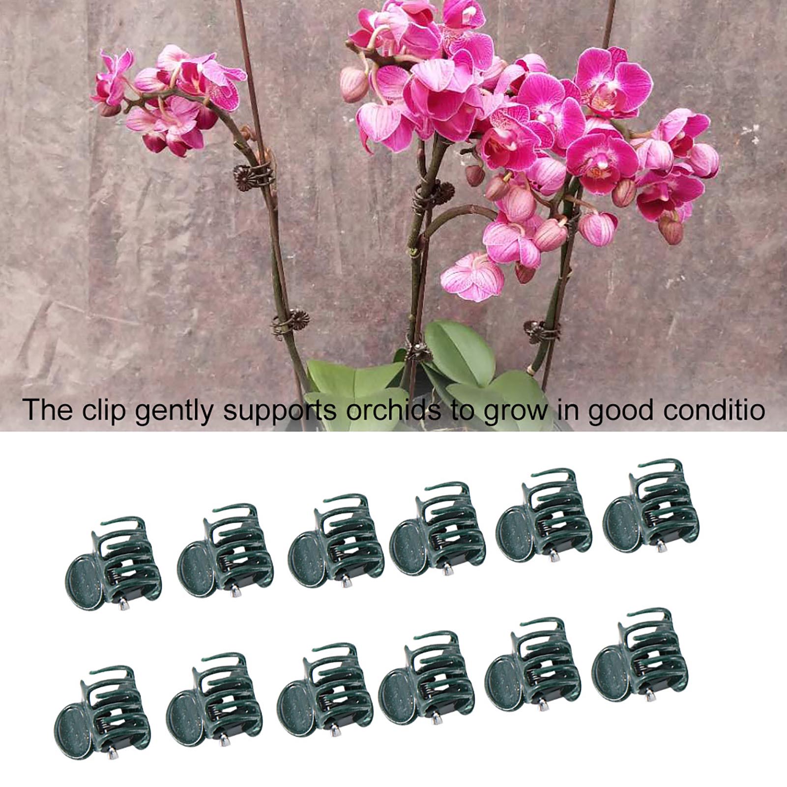 100 pezzi mini clip per piante - Florist Supply Bulk recensione e prezzo