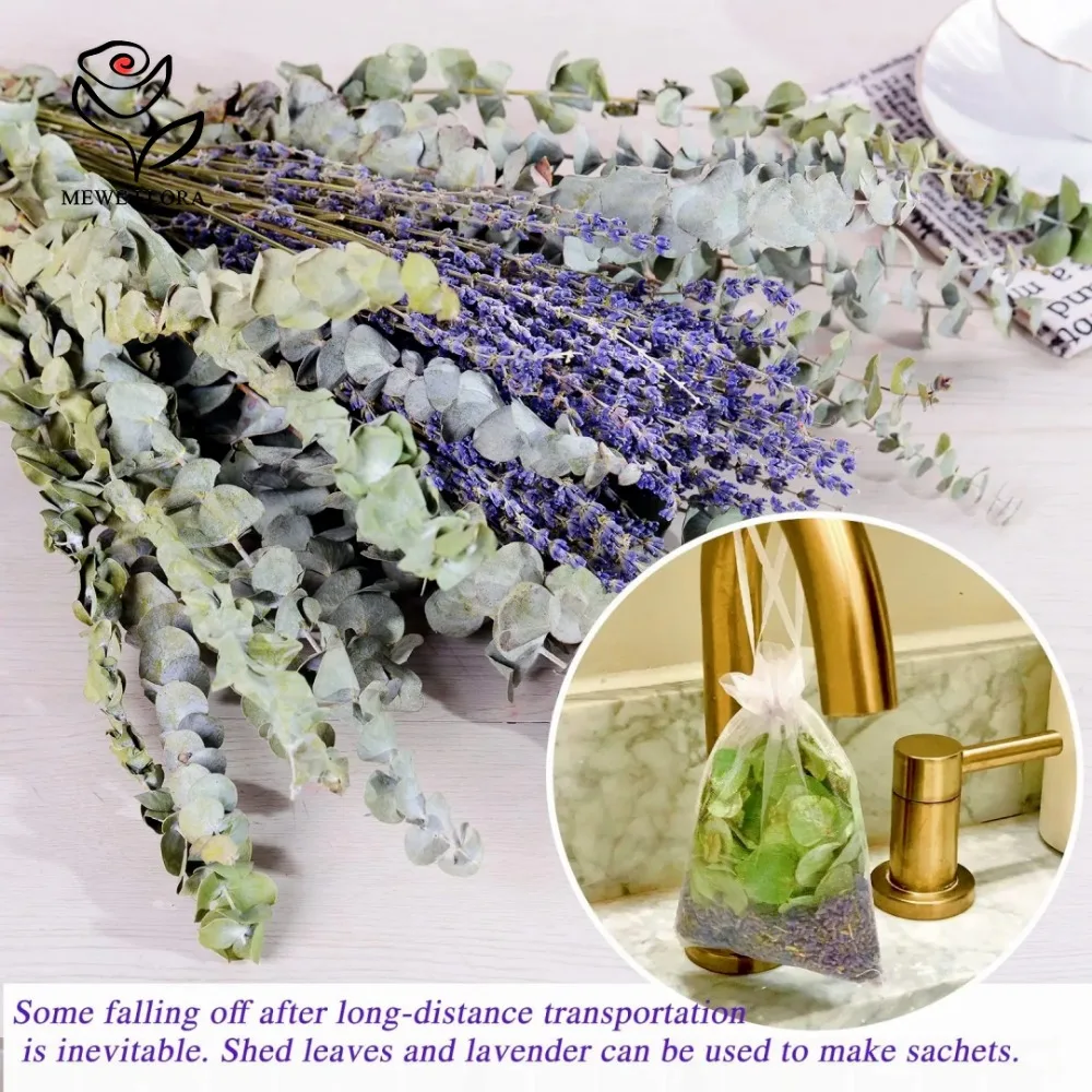 30 pezzi di fiori secchi conse - Eucalyptus Preserved recensione e prezzo